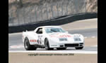 CORVETTE GREENWOOD IMSA Prototype